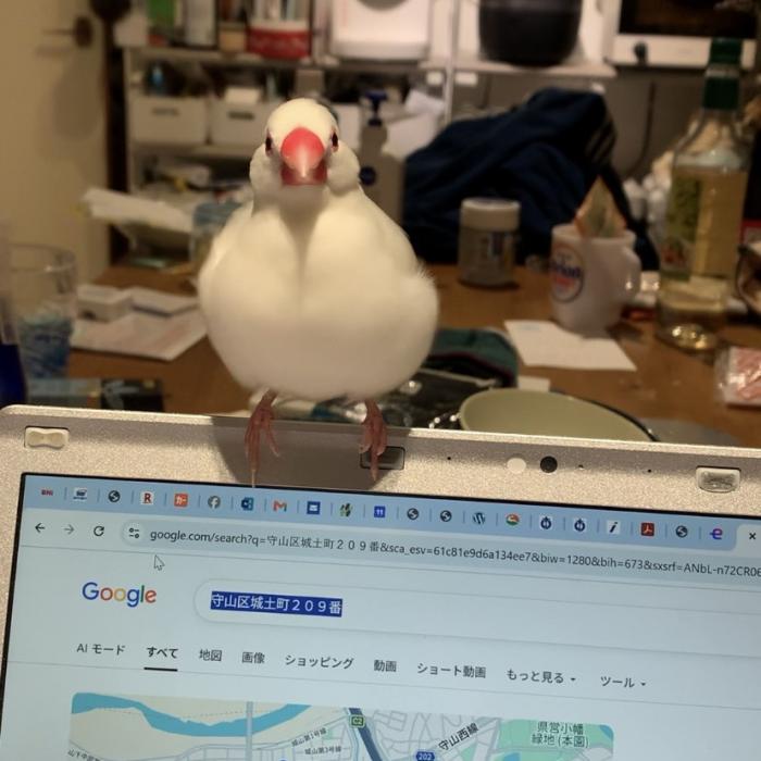 パソコンの画面に乗る「ピーくん」